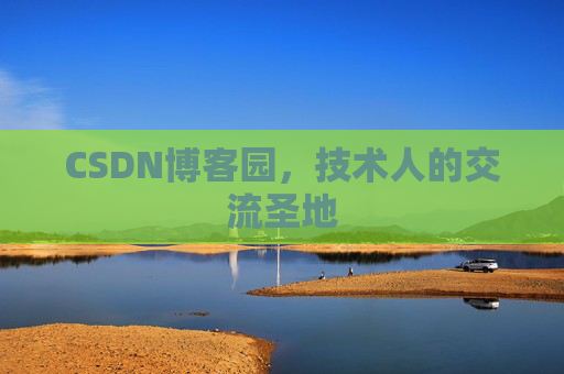CSDN博客园，技术人的交流圣地